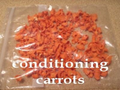 Conditioning Dehydrated Food Image